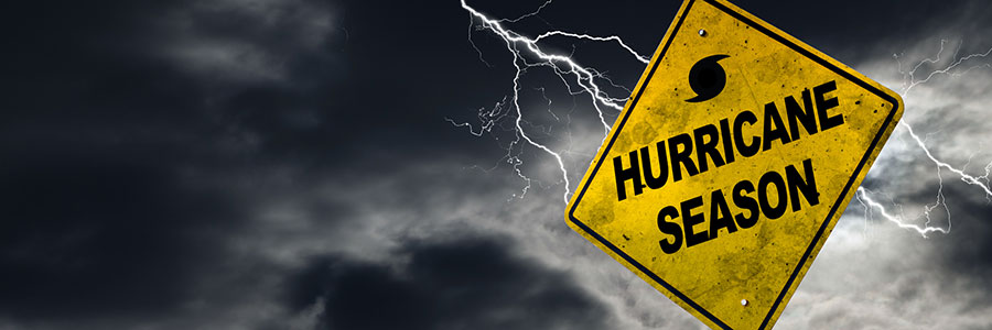 7 Steps to making your data hurricane-proof