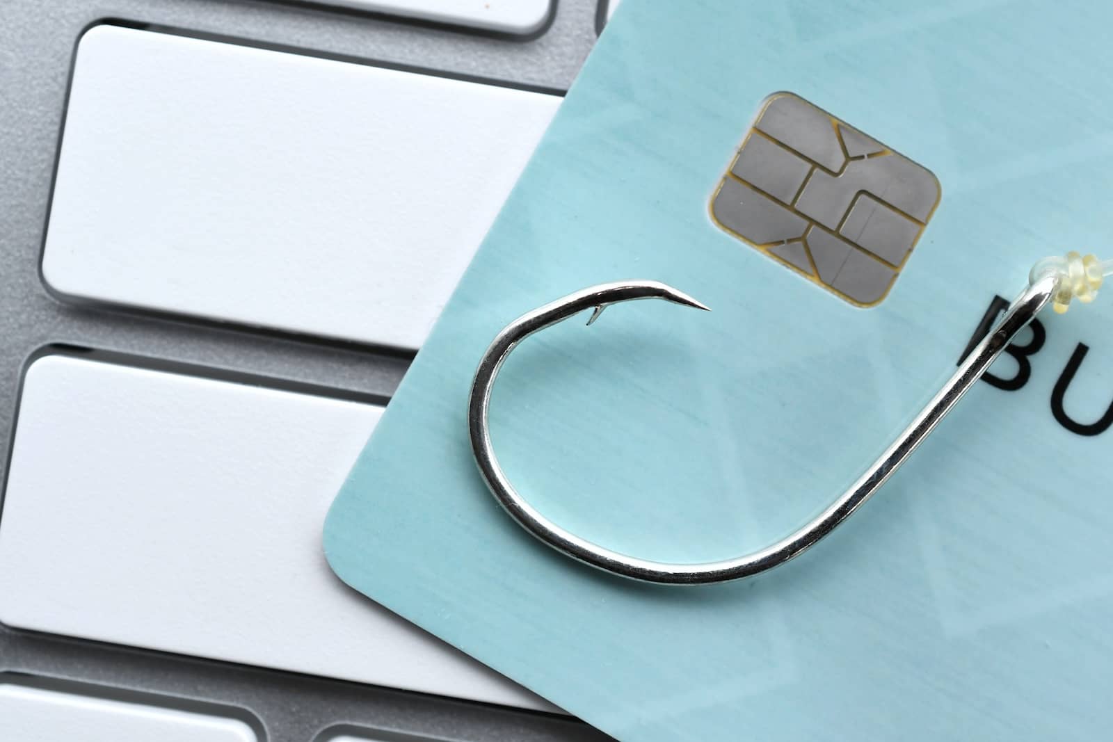 Don’t Get Hooked: Understanding and Preventing Phishing Scams